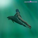 free gallery 37